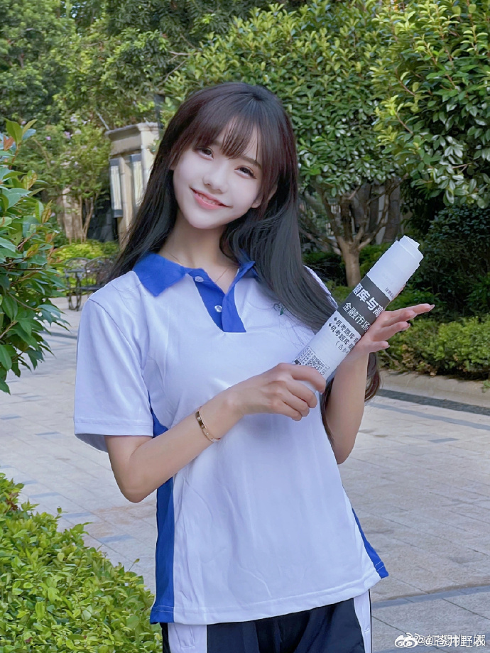 动画 类型