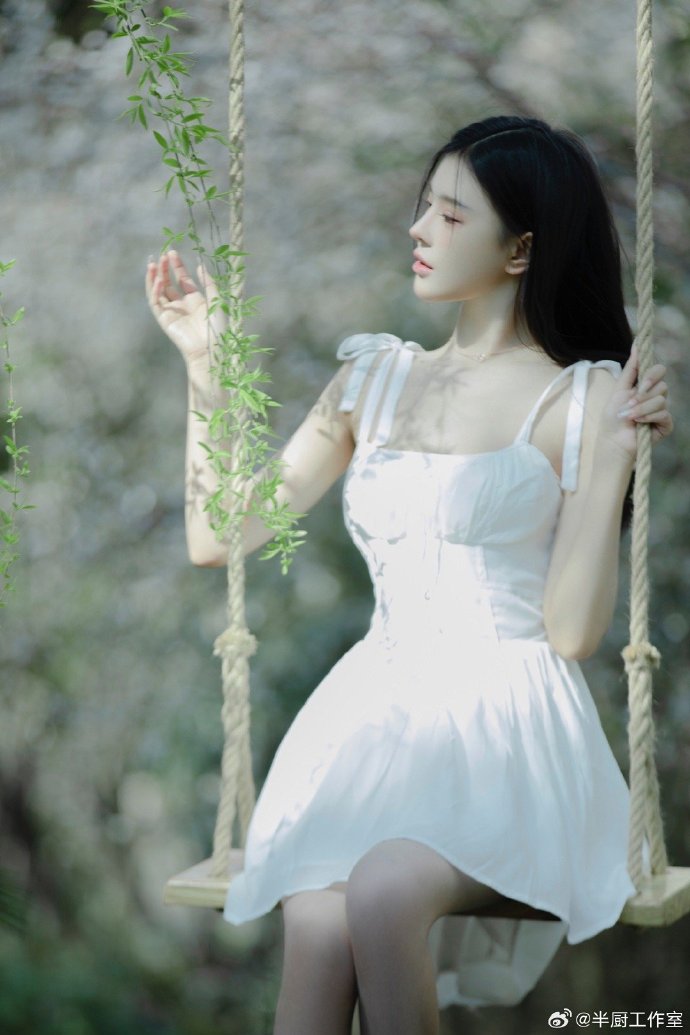 山海情 封面