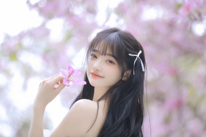 大明王朝1566